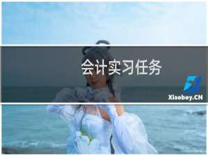 会计实习任务