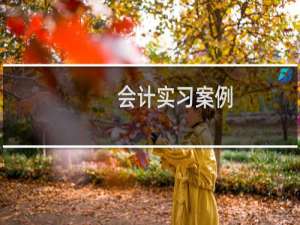 会计实习案例