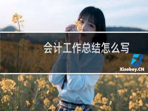 会计工作总结怎么写