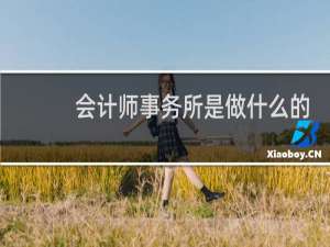会计师事务所是做什么的