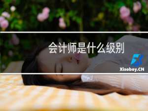 会计师是什么级别