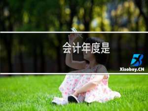 会计年度是