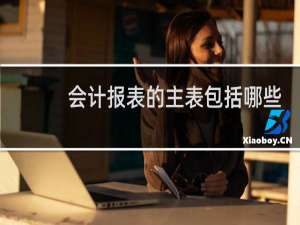 会计报表的主表包括哪些