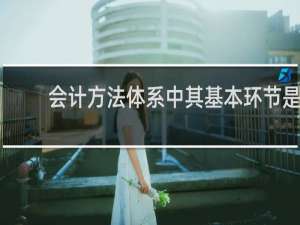 会计方法体系中其基本环节是