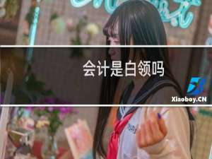 会计是白领吗