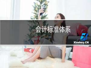 会计标准体系