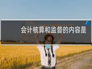 会计核算和监督的内容是