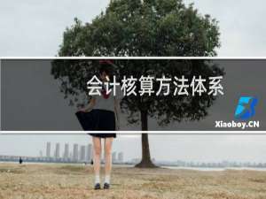 会计核算方法体系