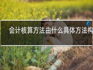 会计核算方法由什么具体方法构成