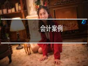 会计案例