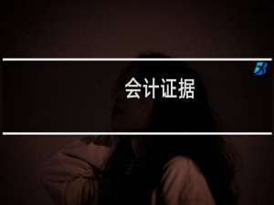 会计证据