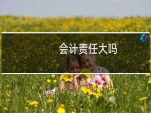 会计责任大吗