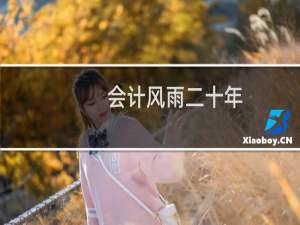 会计风雨二十年