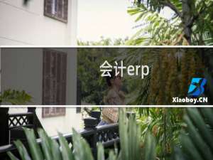 会计erp