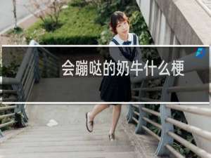 会蹦哒的奶牛什么梗，会蹦哒的奶牛是什么意思？什么梗