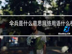 伞兵是什么意思网络用语什么梗
