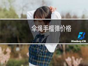 伞绳手榴弹价格