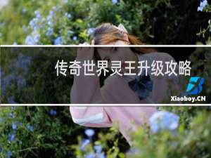 传奇世界灵王升级攻略