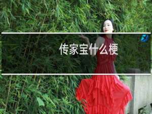 传家宝什么梗