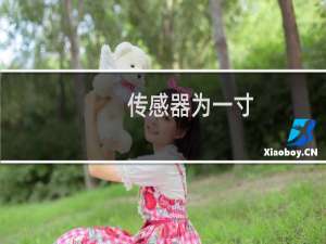 传感器为一寸
