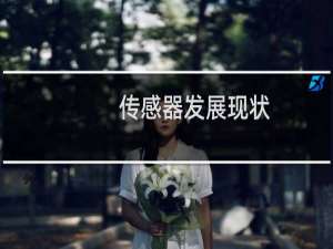 传感器发展现状
