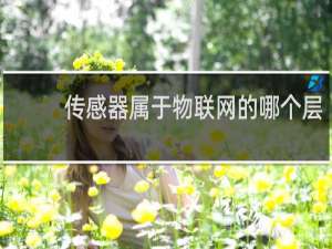 传感器属于物联网的哪个层