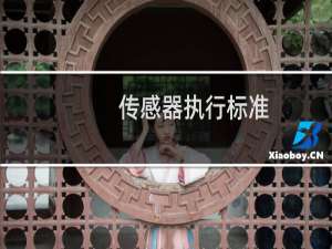 传感器执行标准