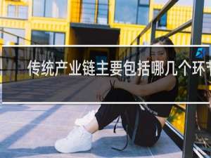 传统产业链主要包括哪几个环节