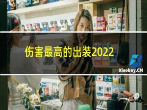 伤害最高的出装2022