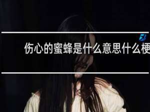 伤心的蜜蜂是什么意思什么梗