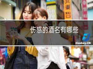 伤感的酒名有哪些