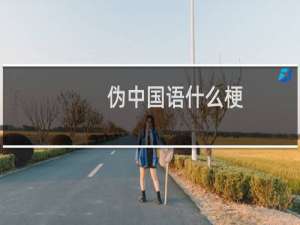 伪中国语什么梗
