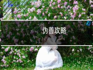 伪善攻略