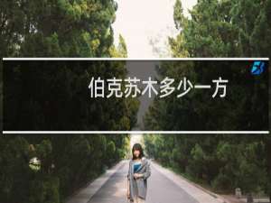 伯克苏木多少一方