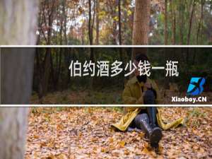 伯约酒多少钱一瓶