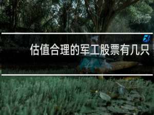 估值合理的军工股票有几只