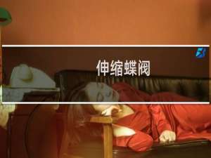 伸缩蝶阀
