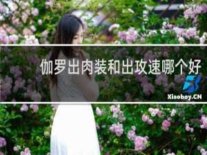 伽罗出肉装和出攻速哪个好