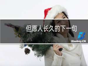 但愿人长久的下一句