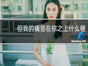 但我的痛苦在你之上什么梗？但我的痛苦在你之上是什么意思什么梗