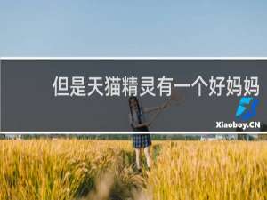 但是天猫精灵有一个好妈妈