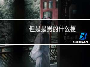 但是是男的什么梗