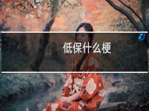 低保什么梗
