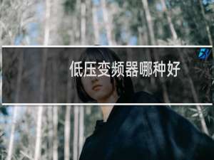 低压变频器哪种好