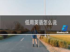 低用英语怎么说