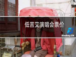 低苦艾演唱会票价