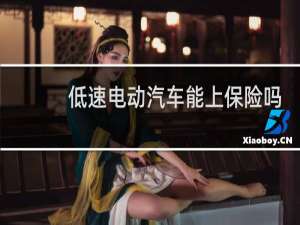 低速电动汽车能上保险吗