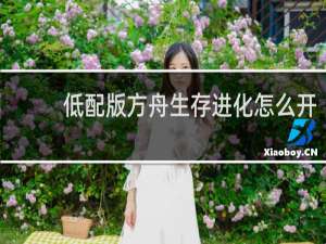 低配版方舟生存进化怎么开