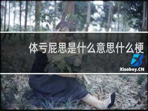体亏屁思是什么意思什么梗