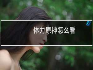 体力原神怎么看